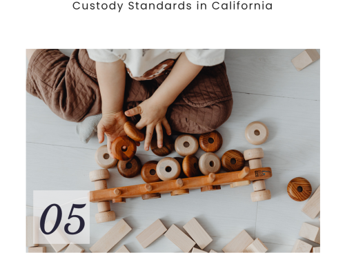 Custody Standards in California